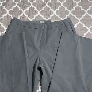 Women dress pants